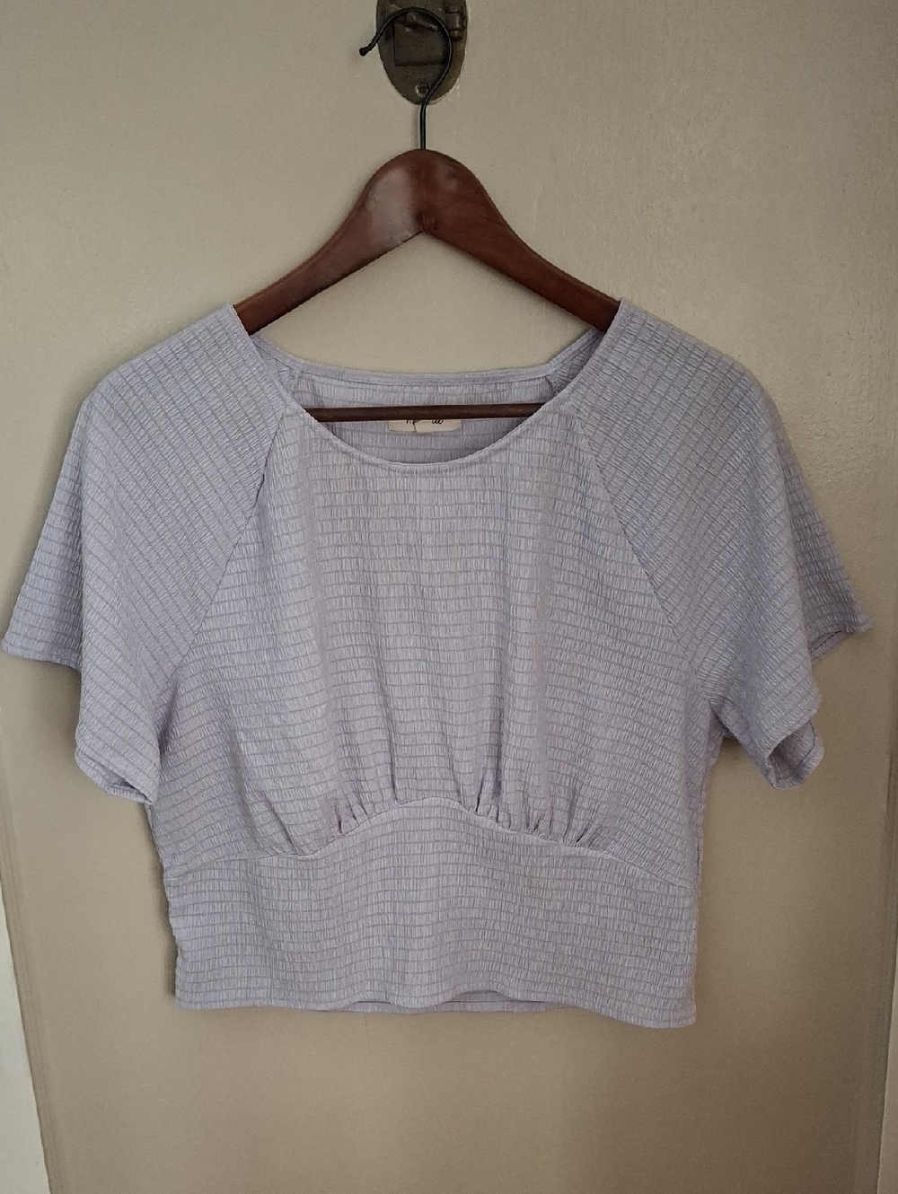 Madewell Light Lavender Ribbed Short Sleeve Crop Top_1